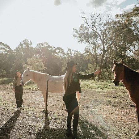 Hunter Valley Retreat Quorrobolong Eksteriør billede