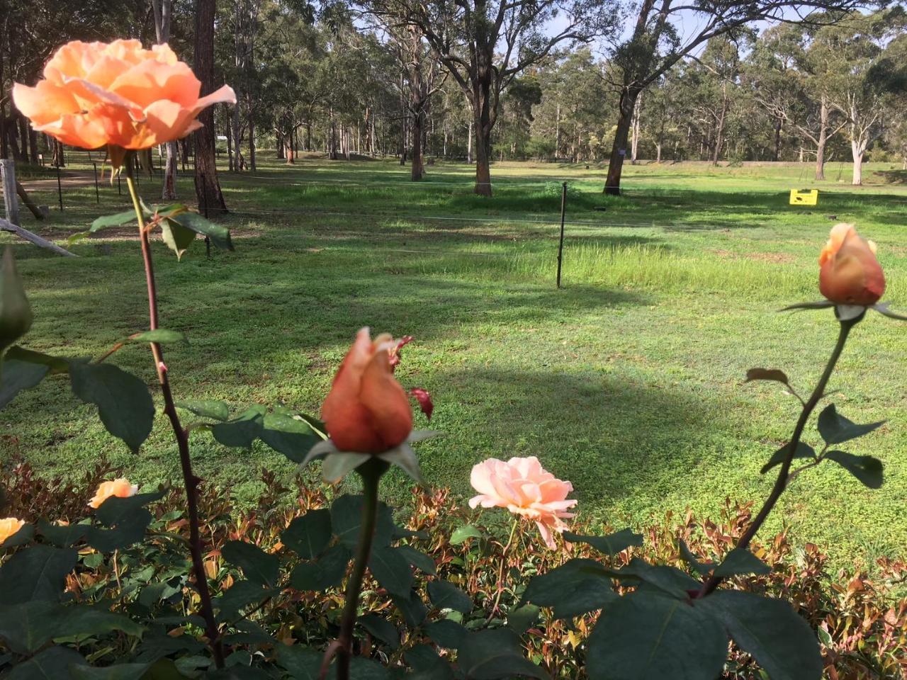 Hunter Valley Retreat Quorrobolong Eksteriør billede