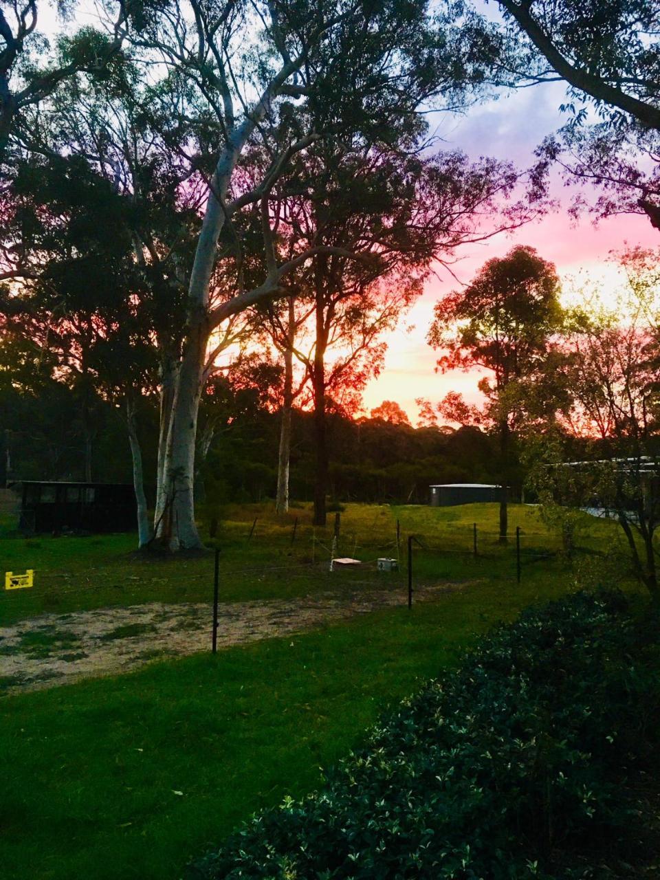 Hunter Valley Retreat Quorrobolong Eksteriør billede