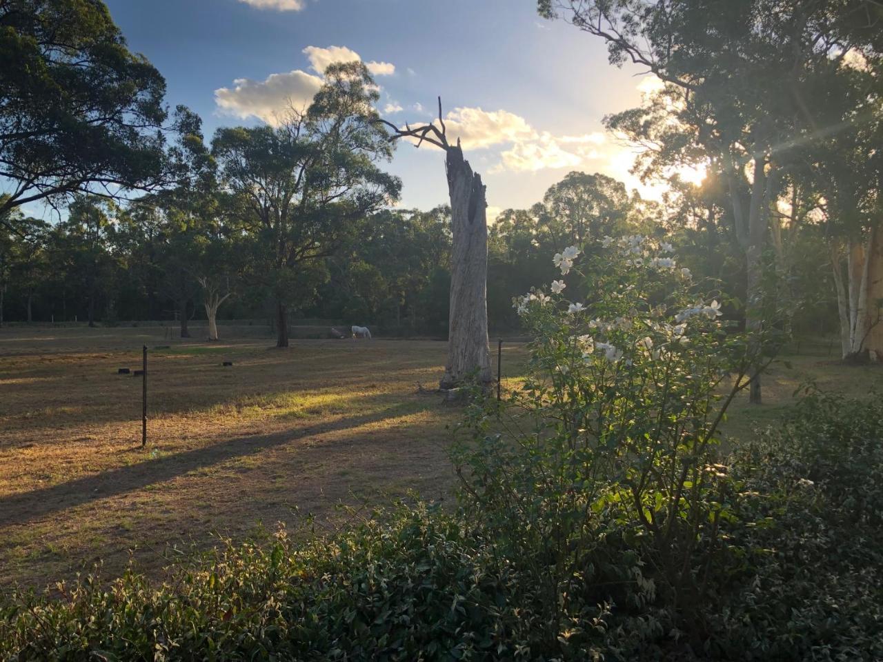 Hunter Valley Retreat Quorrobolong Eksteriør billede